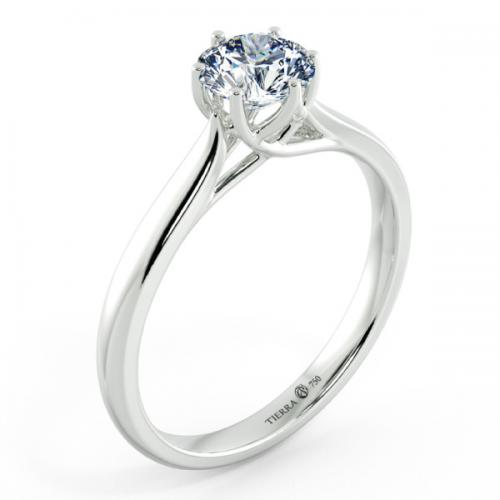 Nhẫn đính hôn Trellis trơn 6 chấu NCH1407